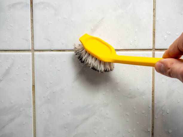 Professional Mold Remediation in Skyline, AL