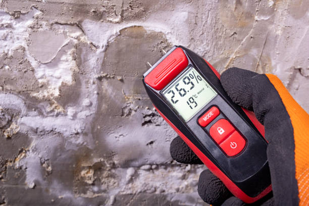 Best Health and Safety Mold Remediation in Skyline, AL