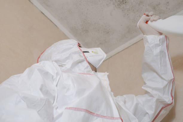 Best Mold Testing and Inspection Services in Skyline, AL