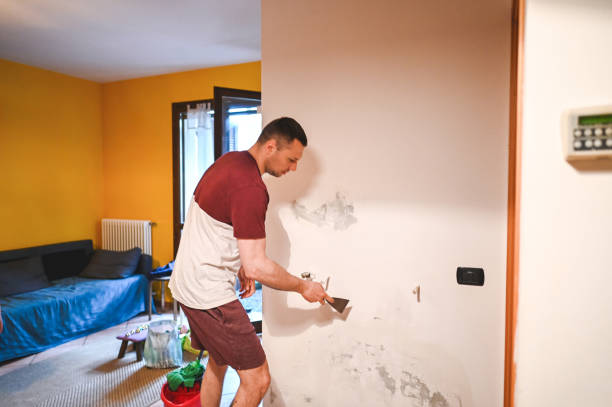 Best Commercial Mold Remediation in Skyline, AL